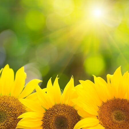 Testimonial – Richard DeWald