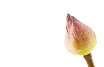 How do you know the difference between…