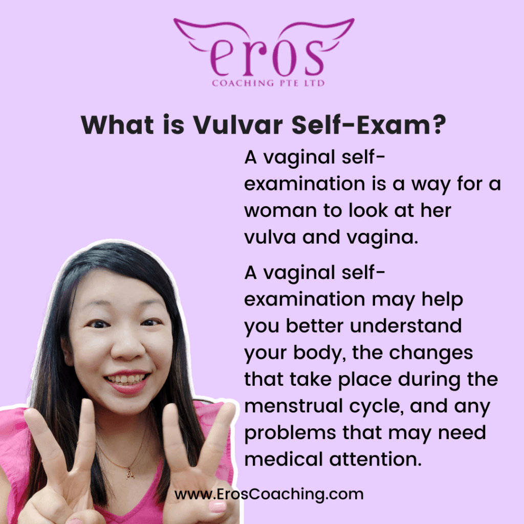 What is Vulvar Self-Exam? A vaginal self-examination is a way for a woman to look at her vulva and vagina. A vaginal self-examination may help you better understand your body, the changes that take place during the menstrual cycle, and any problems that may need medical attention.