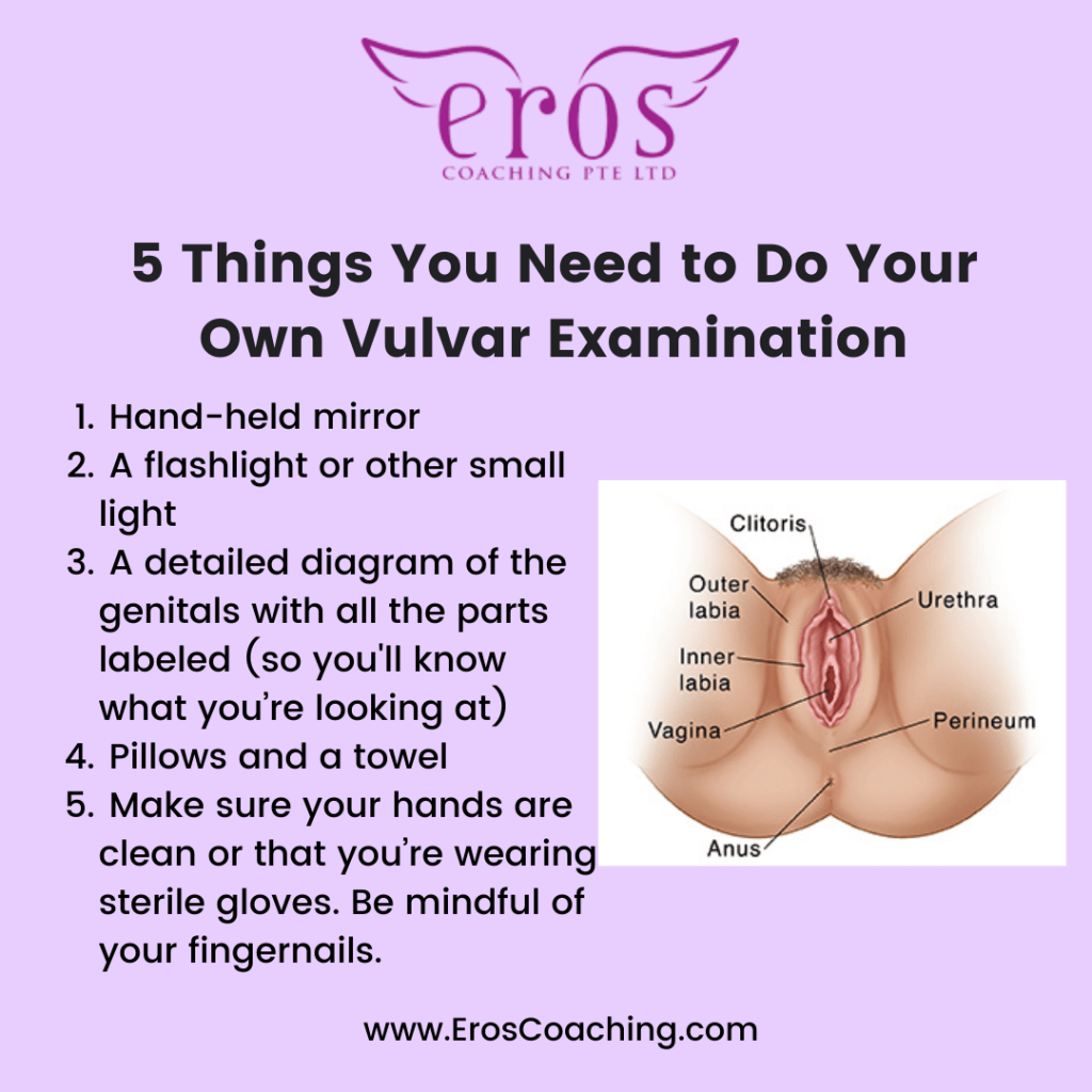 5 Things You Need to Do Your Own Vulvar Examination Hand-held mirror A flashlight or other small light A detailed diagram of the genitals with all the parts labeled (so you'll know what you’re looking at) Pillows and a towel Make sure your hands are clean or that you’re wearing sterile gloves. Be mindful of your fingernails.