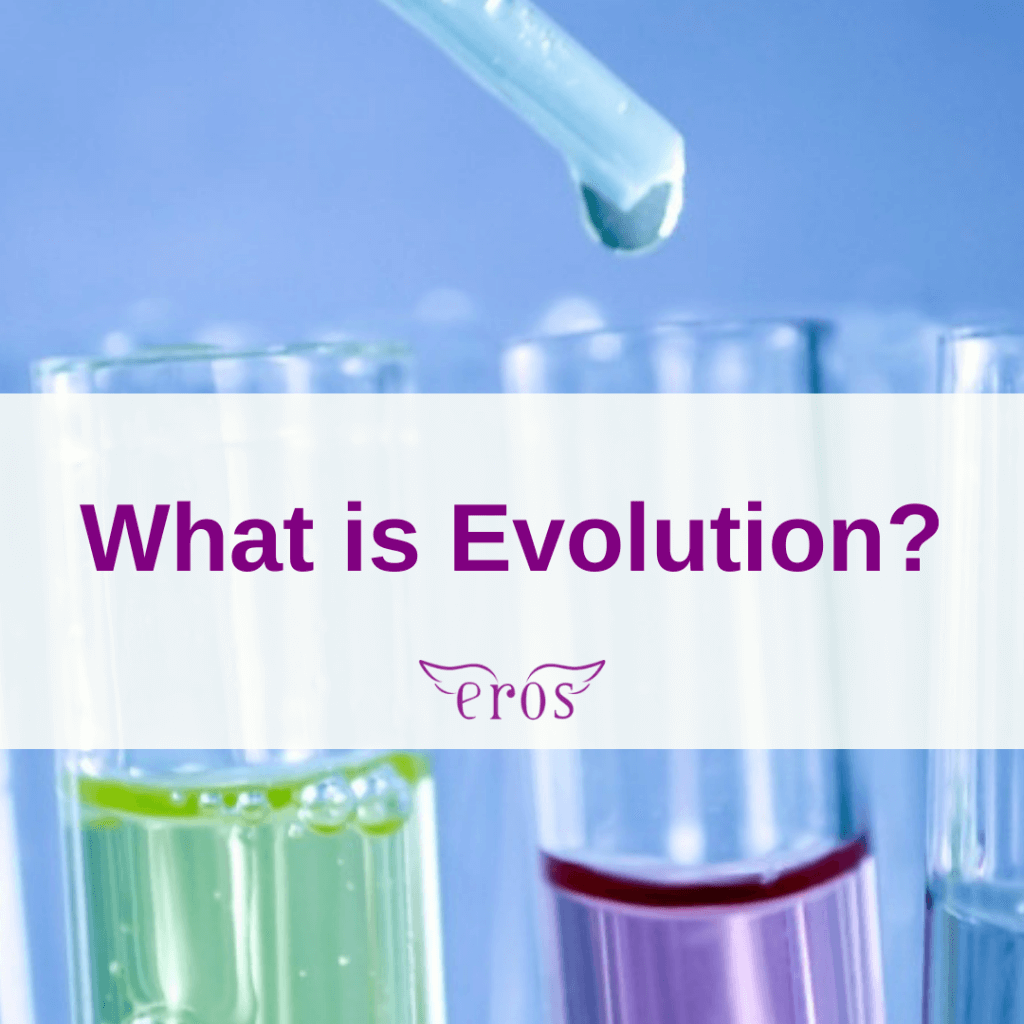 What is Evolution?