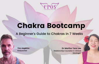 Chakra Bootcamp: A Beginner’s Guide to Chakras